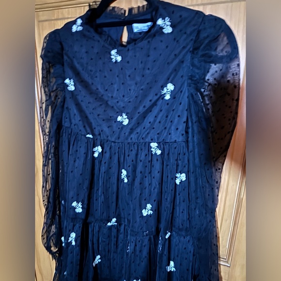 Zara Kids Girl Embroidered Tulle Dress Lined Black Sz 13-14 Sheer Long Sleeve - Picture 5 of 16